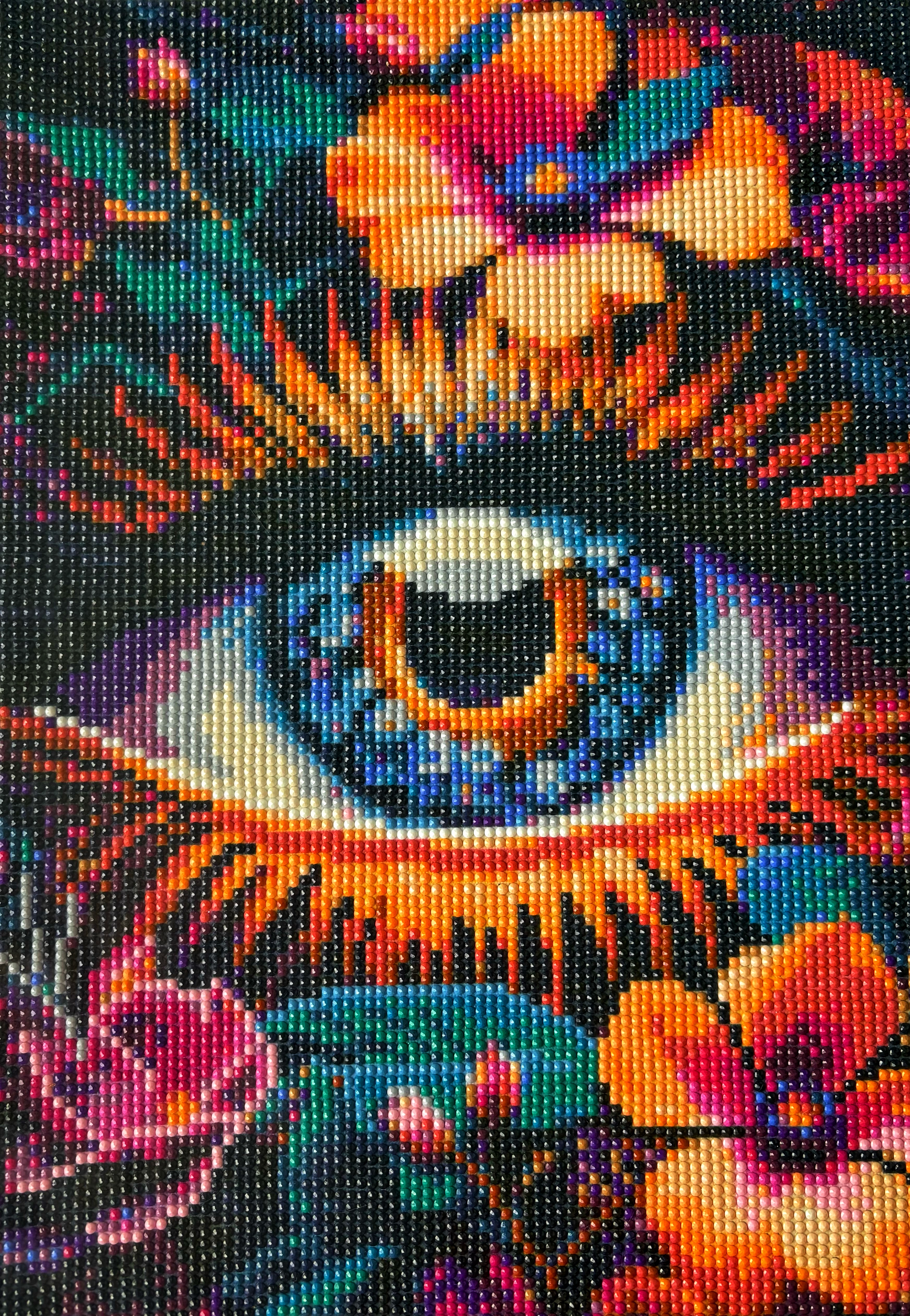Jungle eye